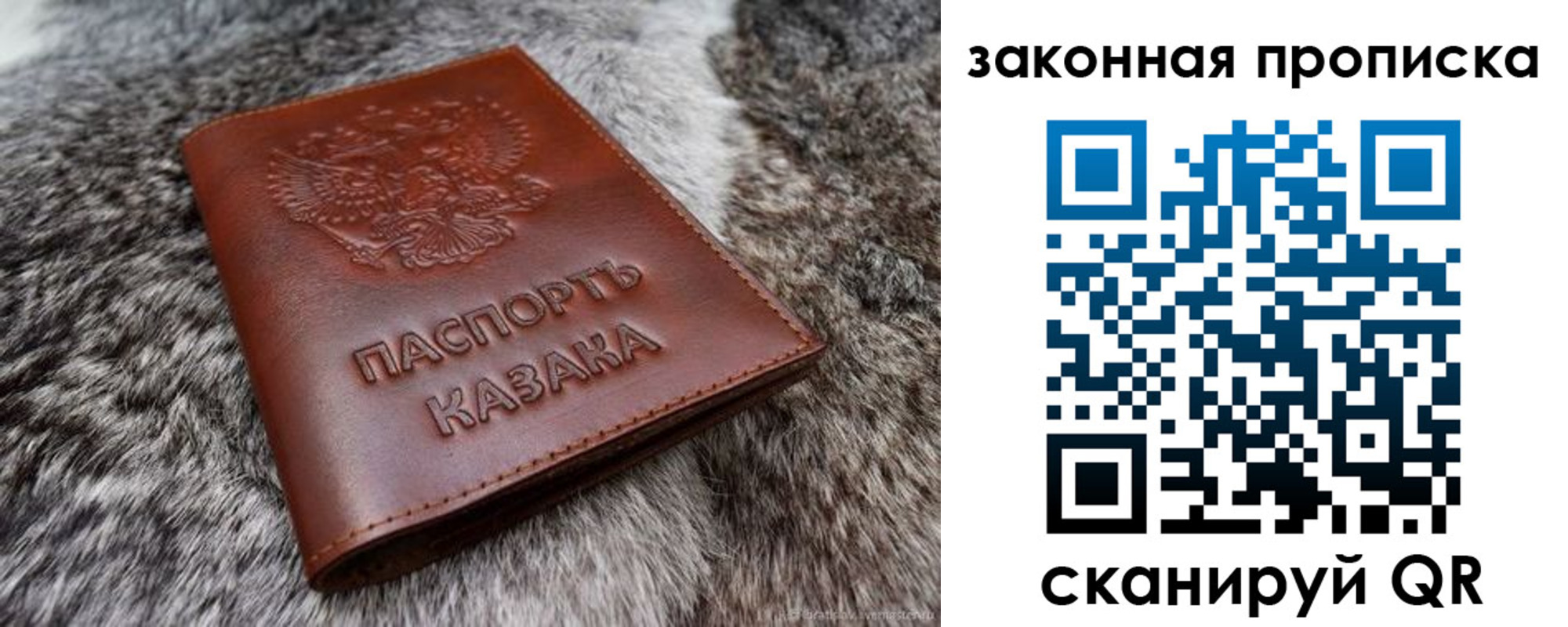 прописка в Новоузенске